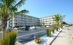 Coastal Palms Inn And Suites Ocean City